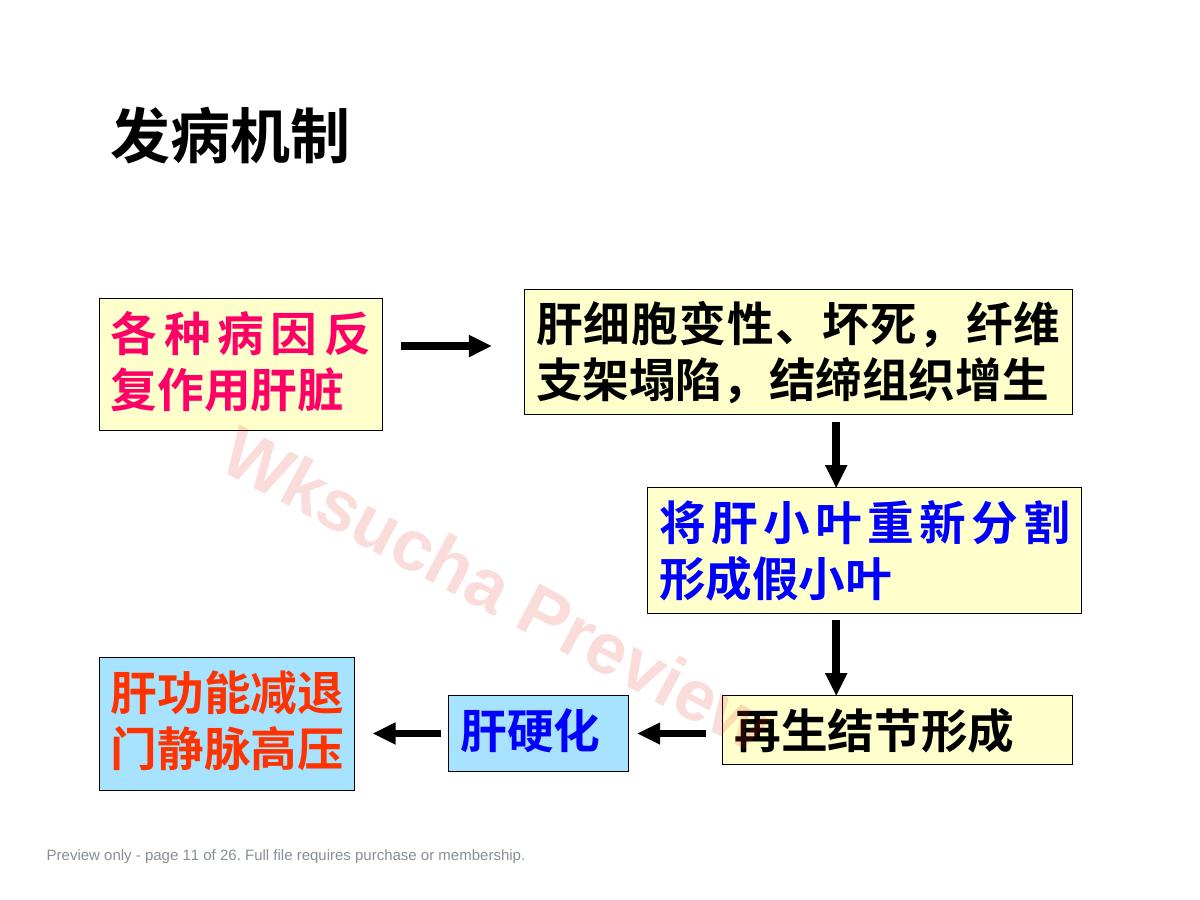 预览第 11 页