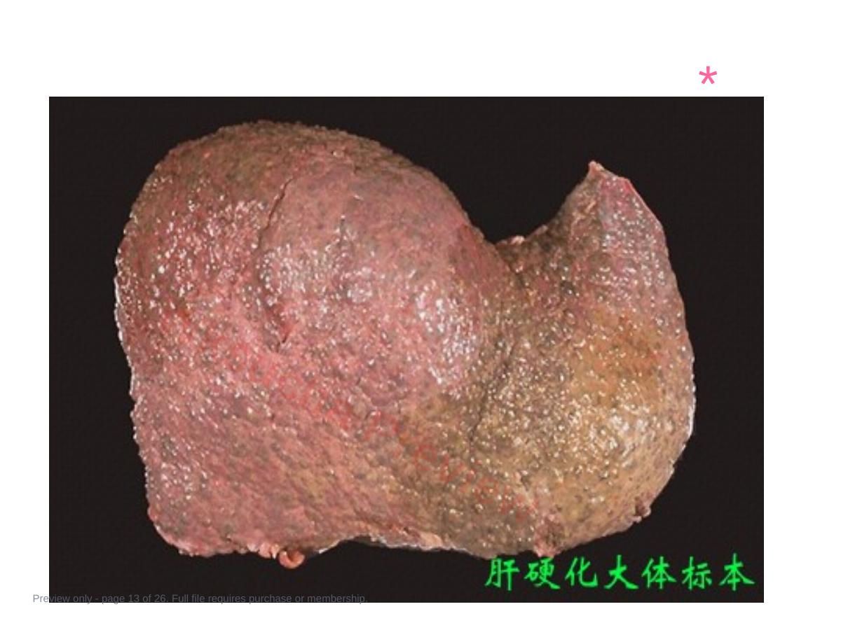 预览第 13 页