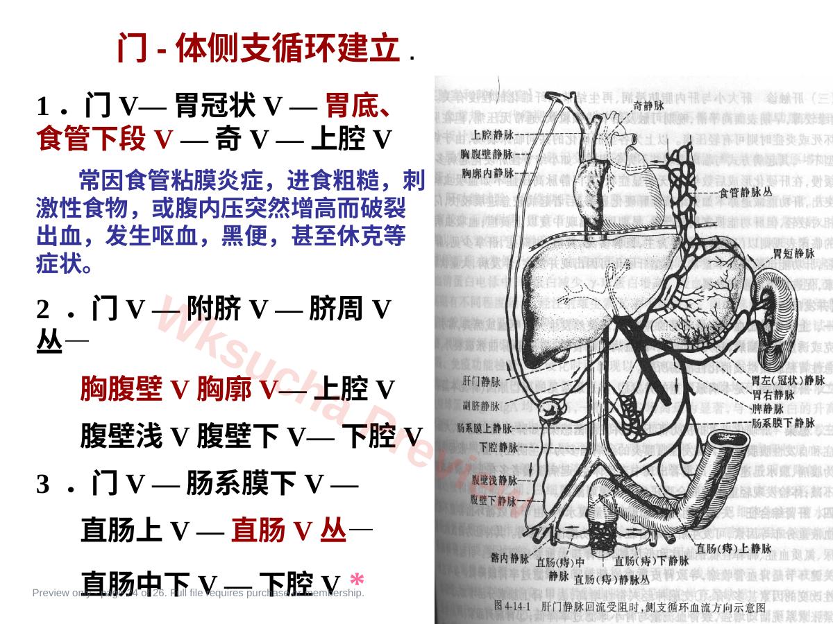 预览第 24 页