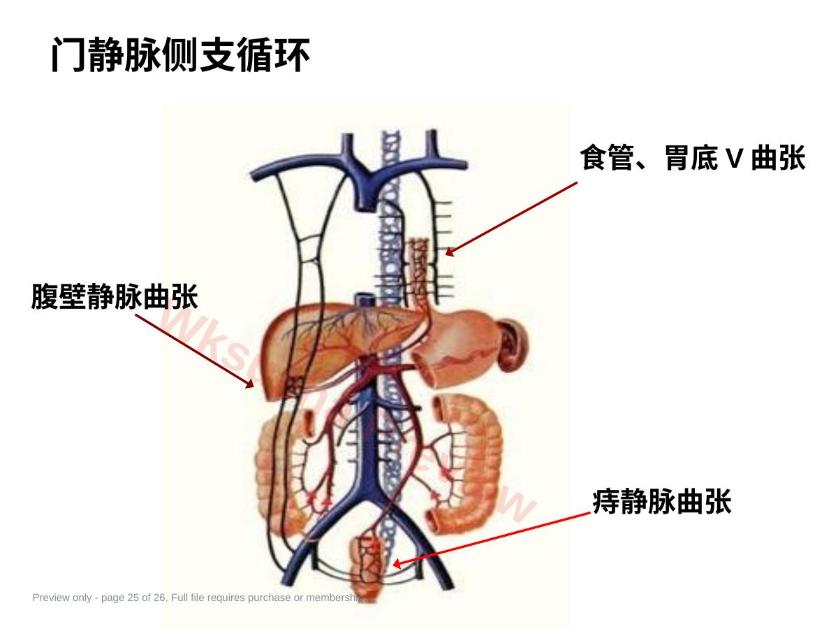 预览第 25 页