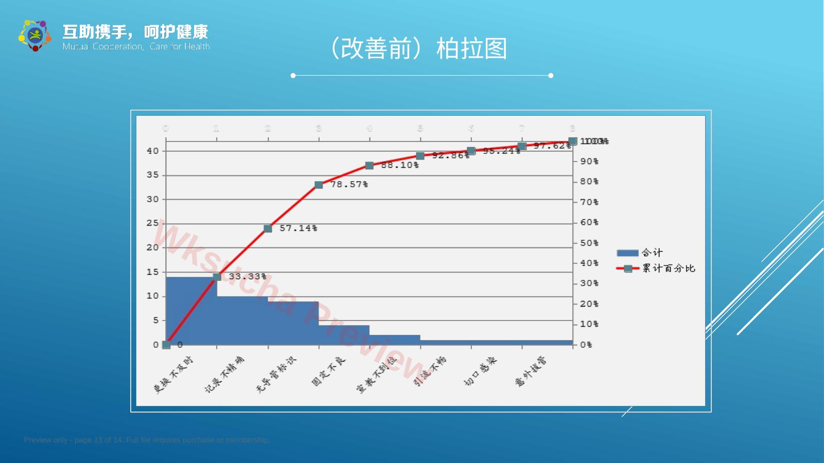 预览第 13 页