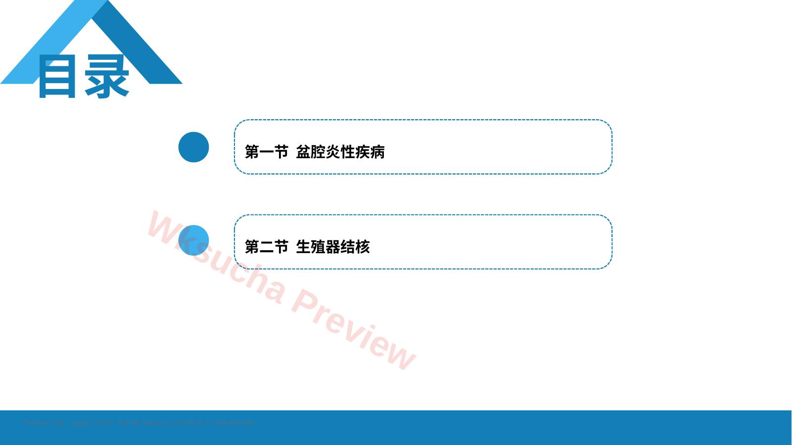 预览第 2 页