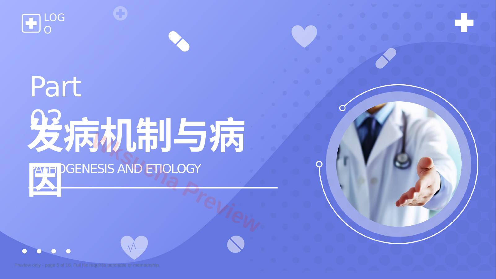 预览第 5 页