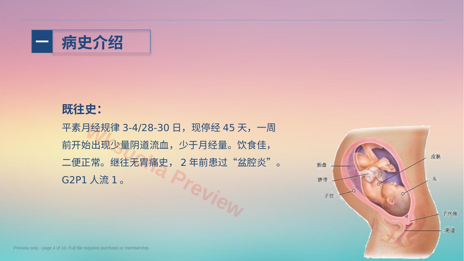 预览第 4 页