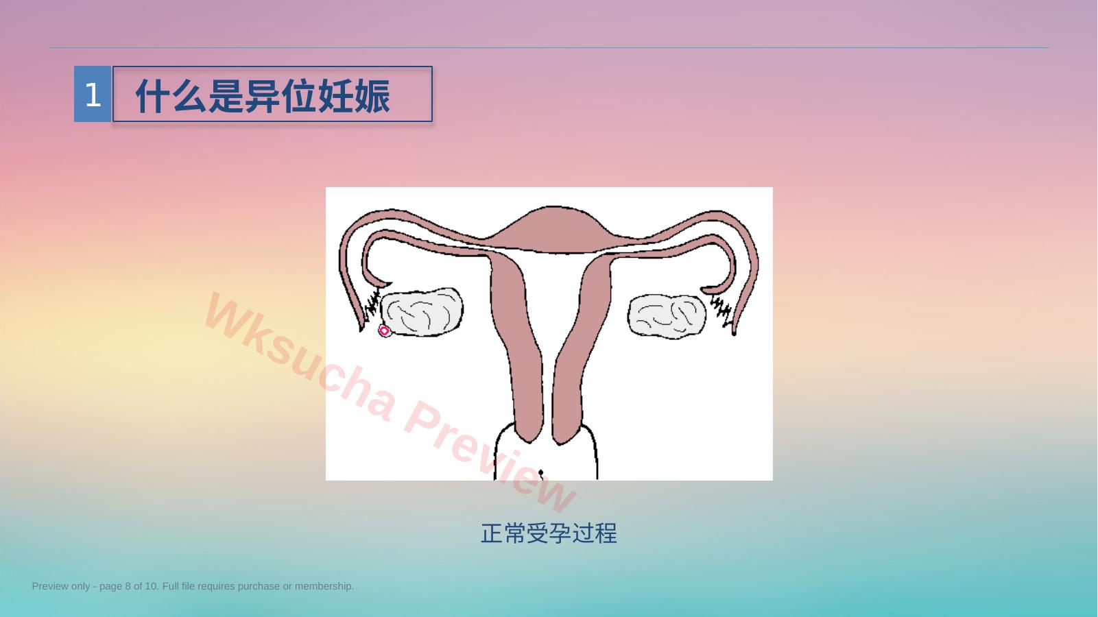预览第 8 页
