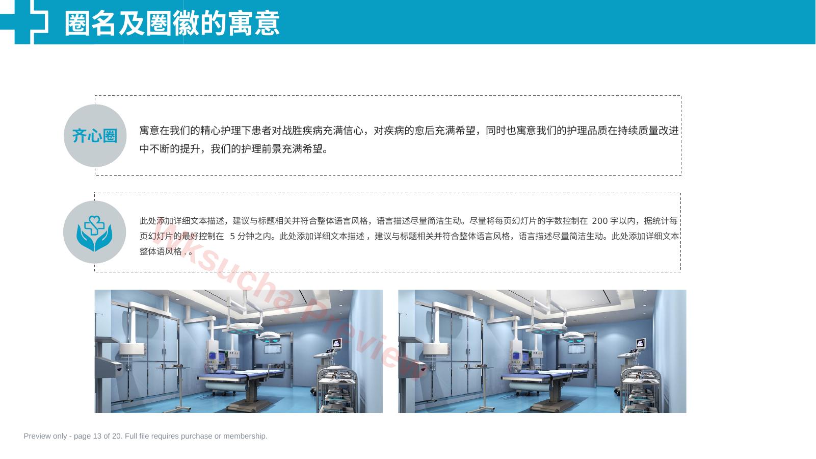 预览第 13 页