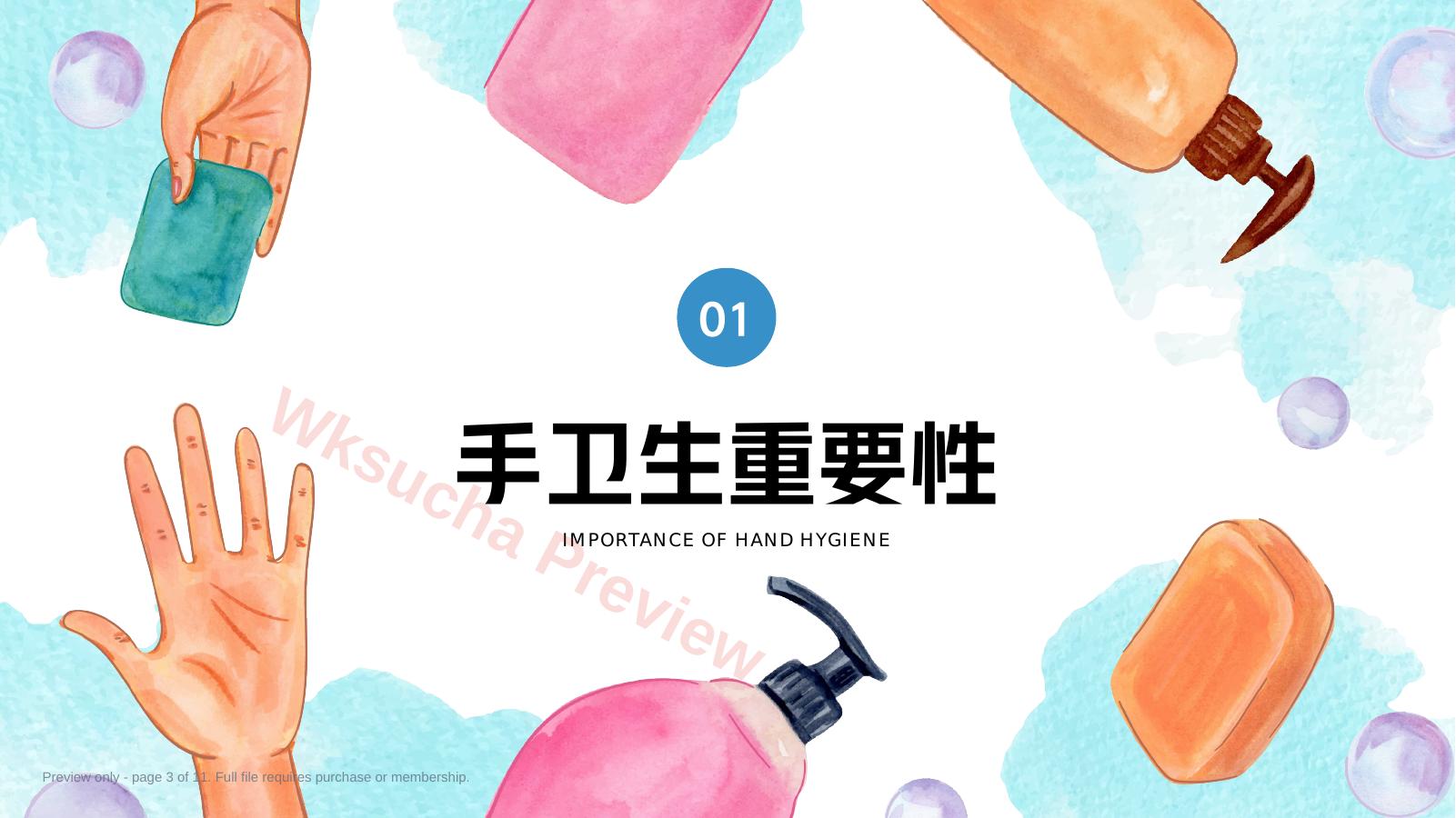 预览第 3 页