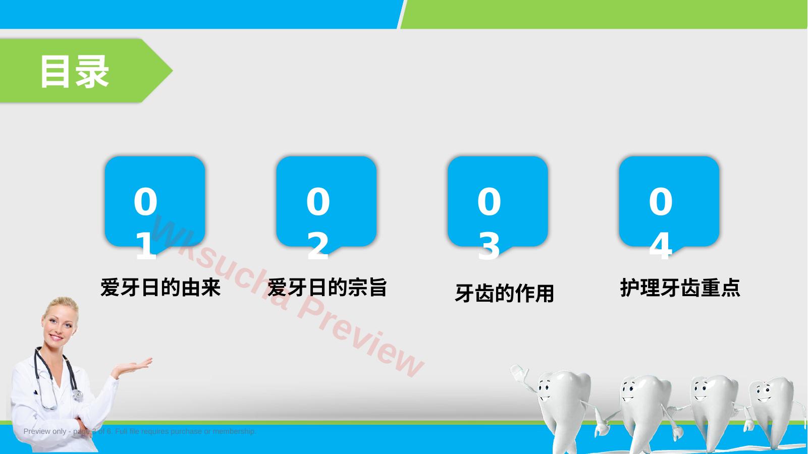 预览第 3 页