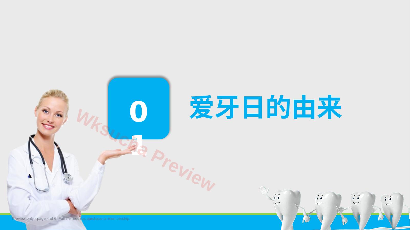 预览第 4 页