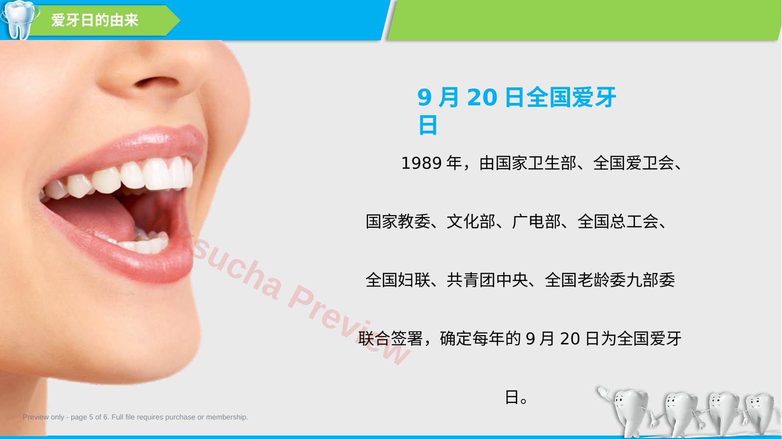 预览第 5 页