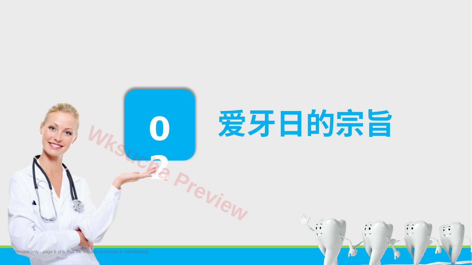 预览第 6 页
