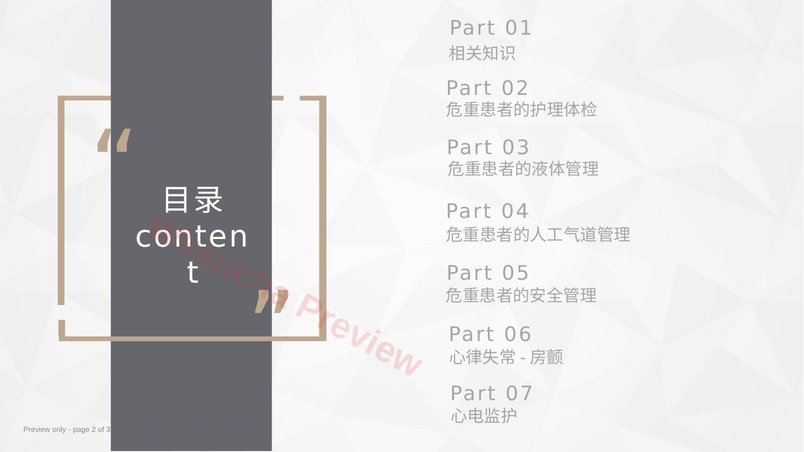 预览第 2 页