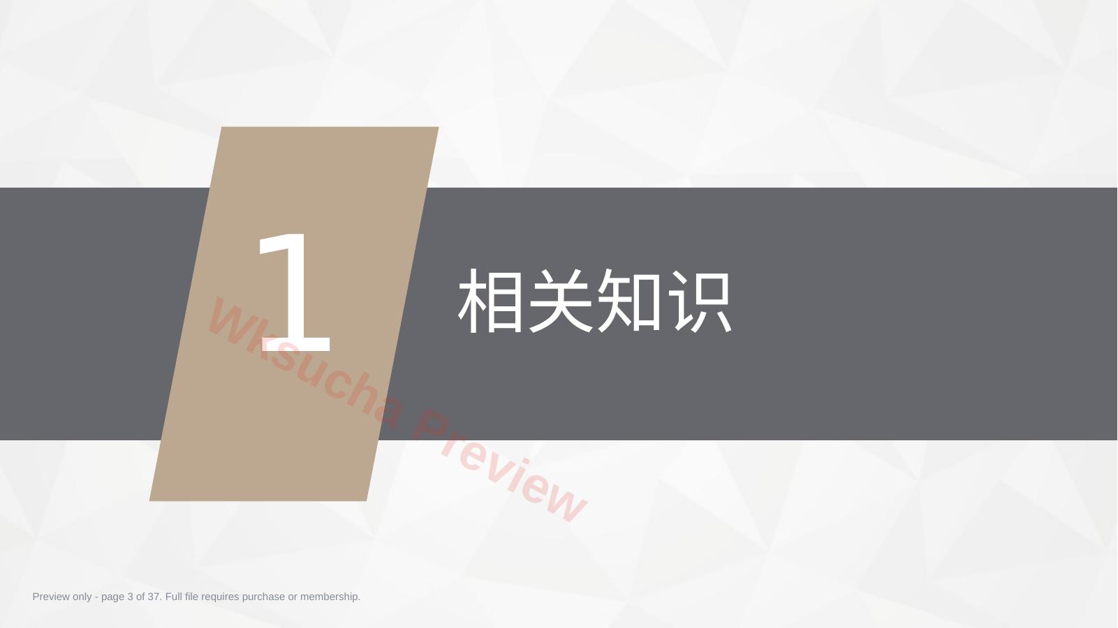 预览第 3 页