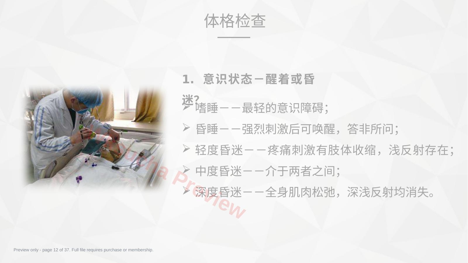 预览第 12 页