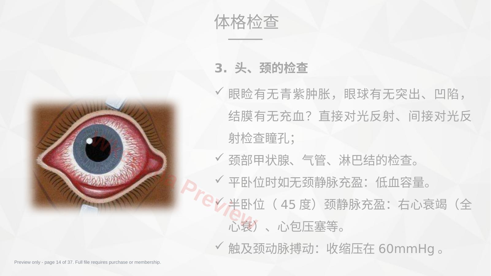 预览第 14 页