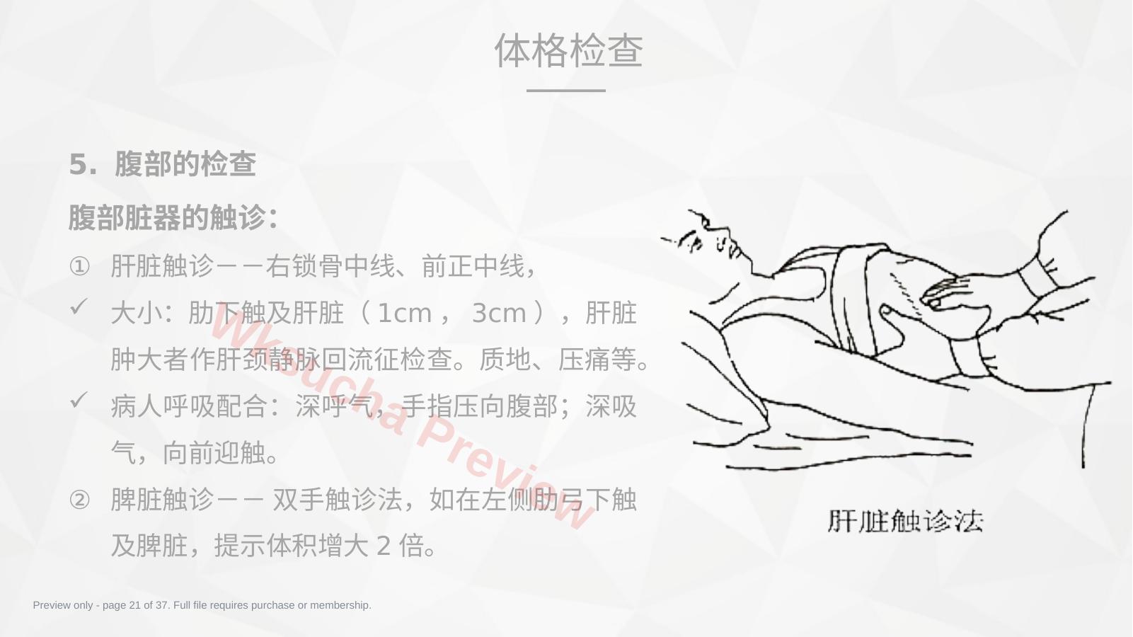 预览第 21 页