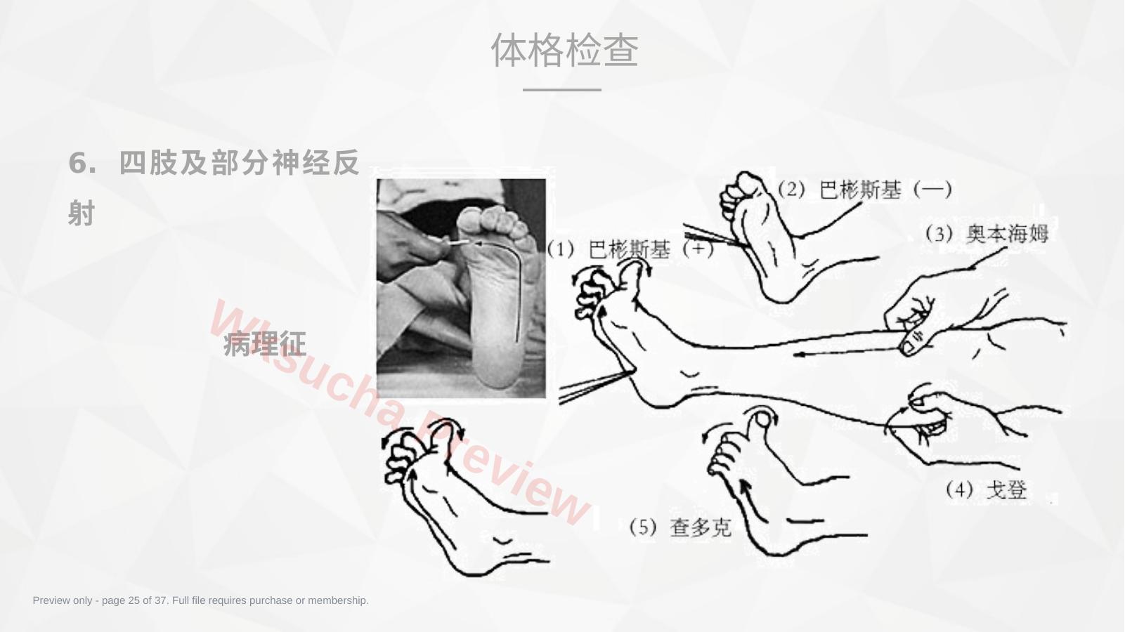 预览第 25 页