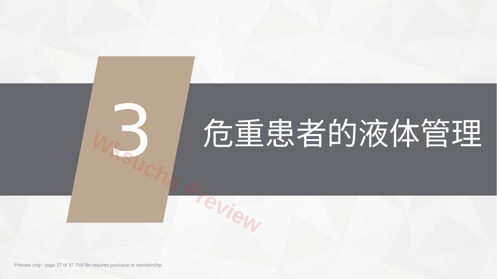 预览第 27 页