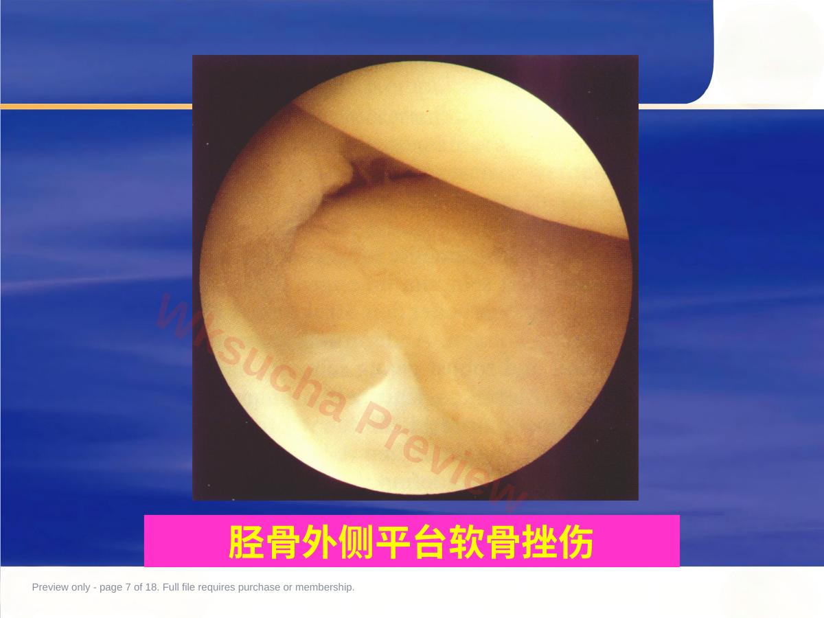 预览第 7 页