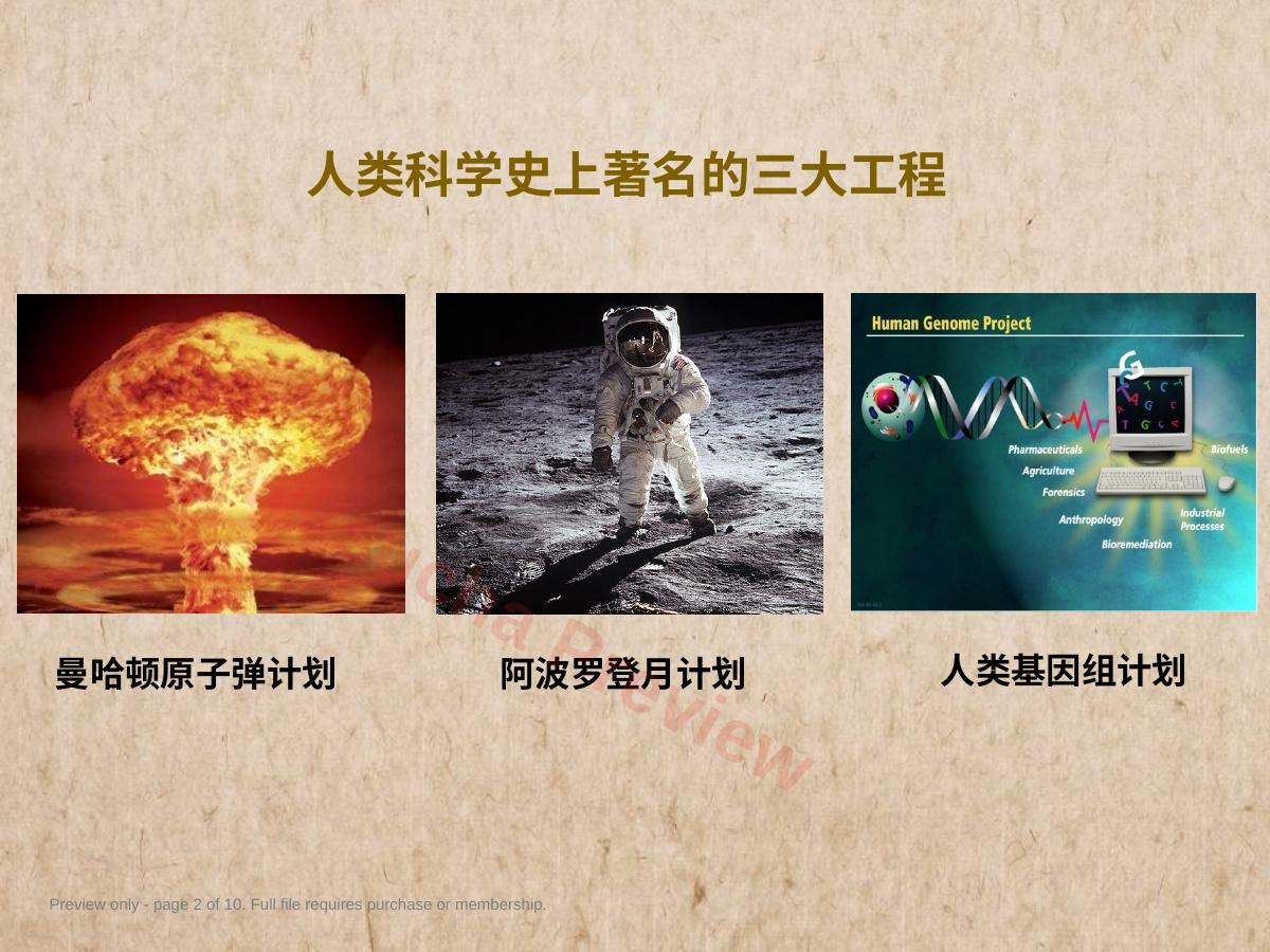 预览第 2 页
