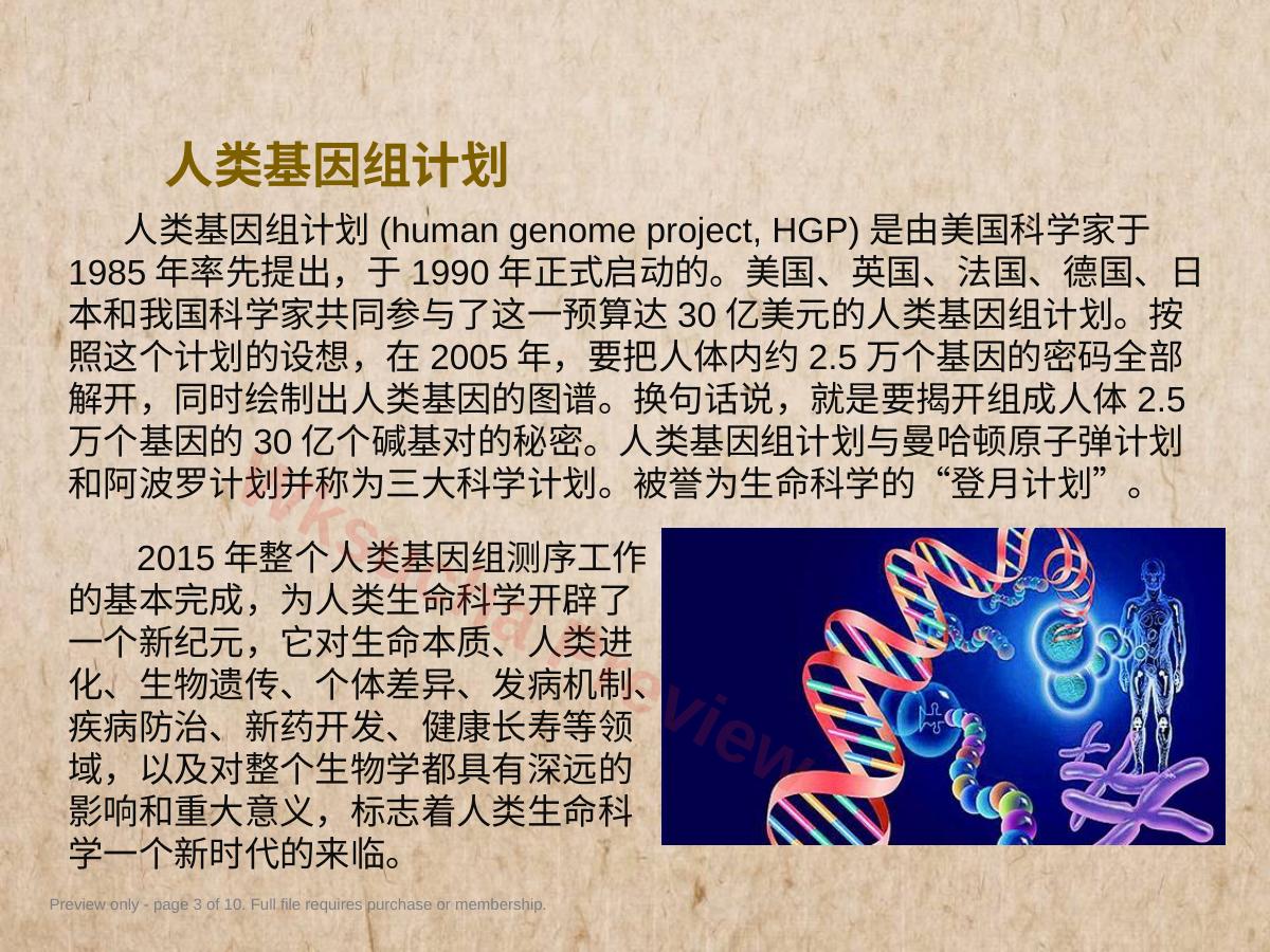 预览第 3 页