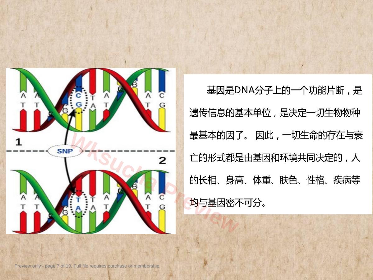预览第 7 页