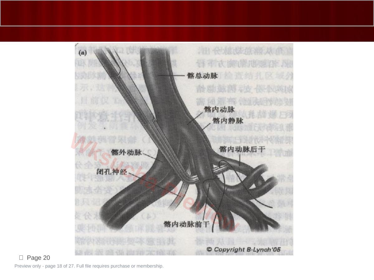 预览第 18 页