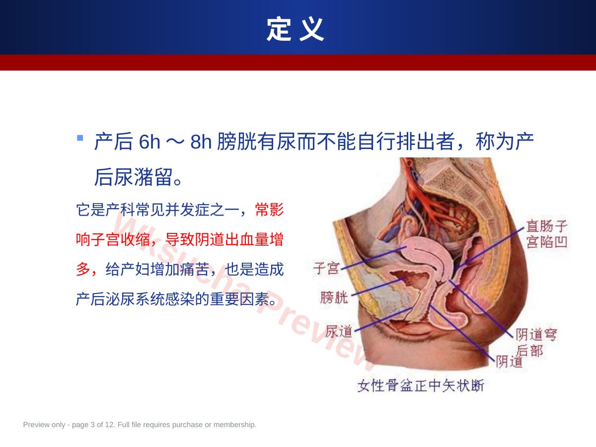 预览第 3 页