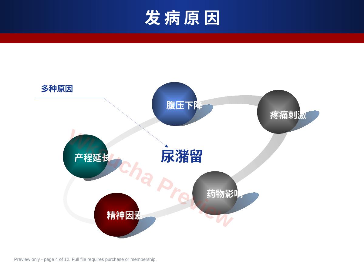 预览第 4 页