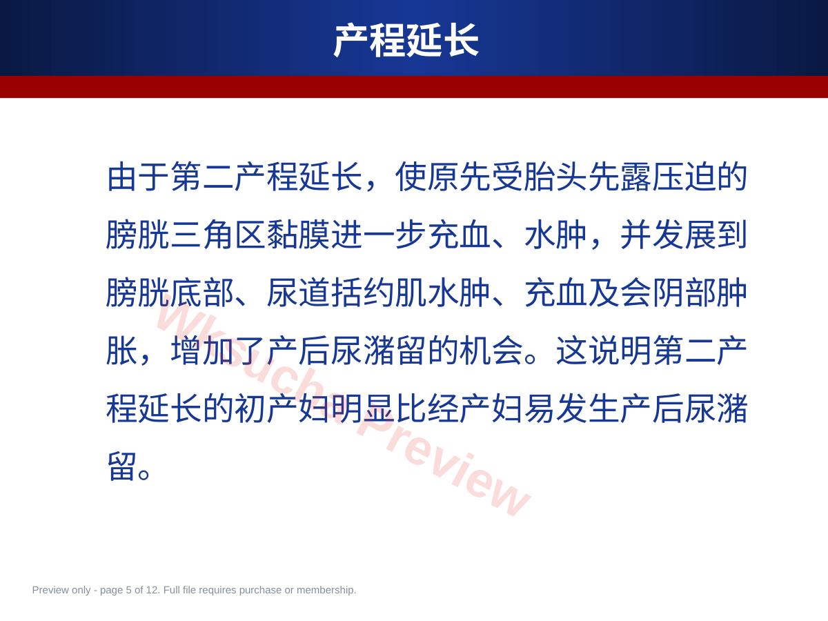 预览第 5 页