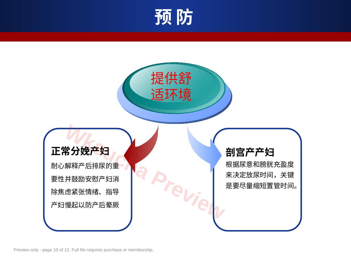 预览第 10 页