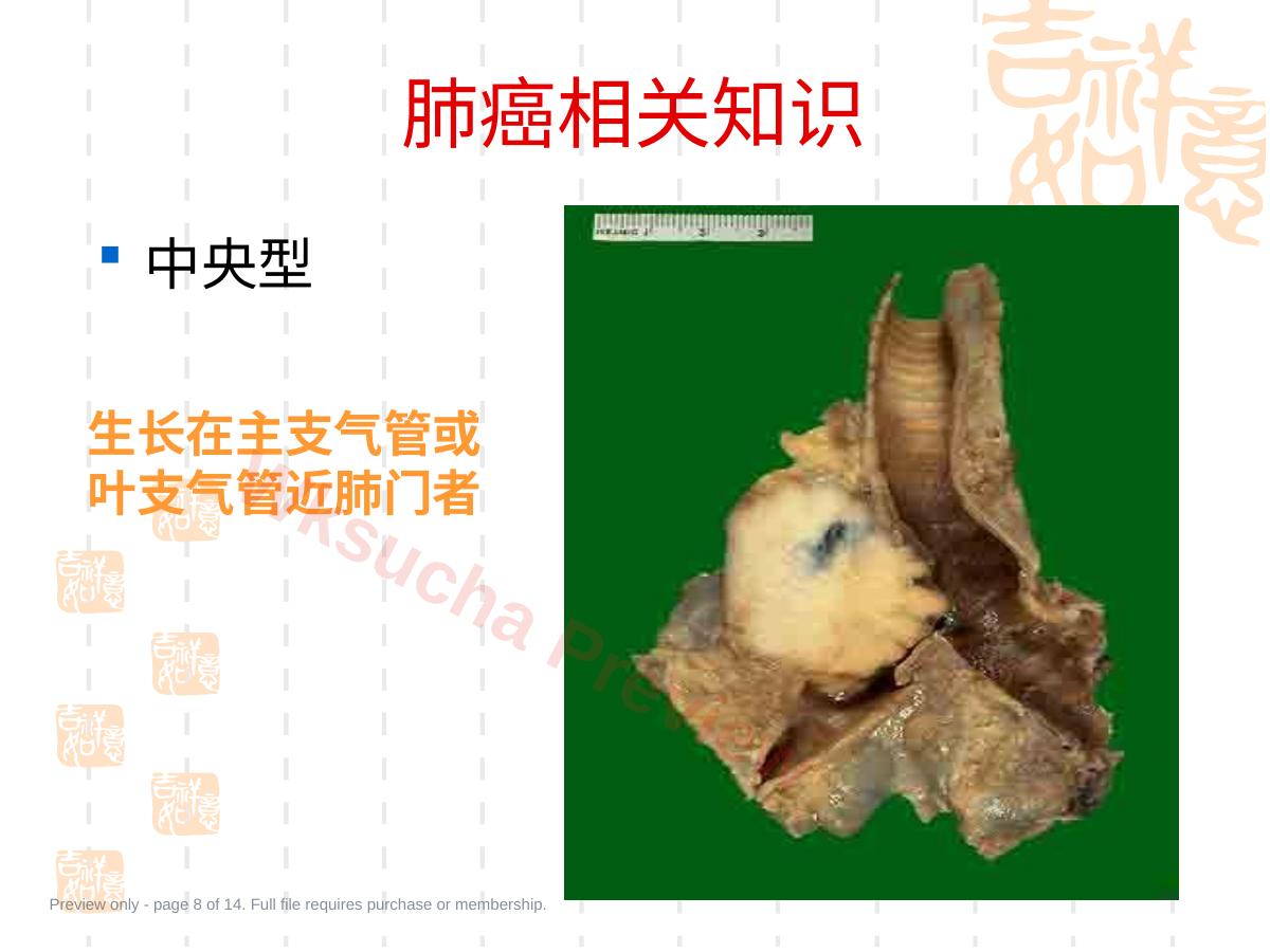 预览第 8 页