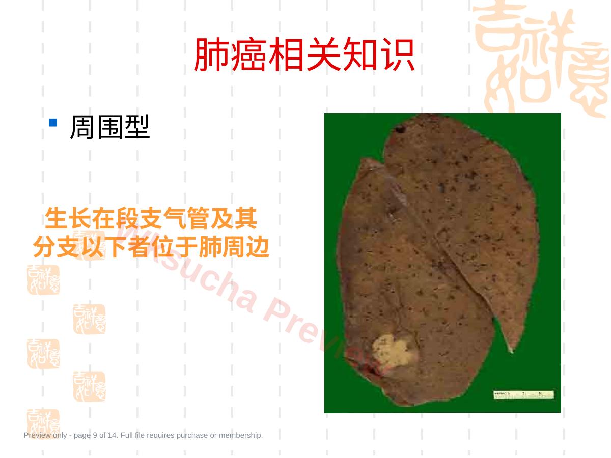 预览第 9 页