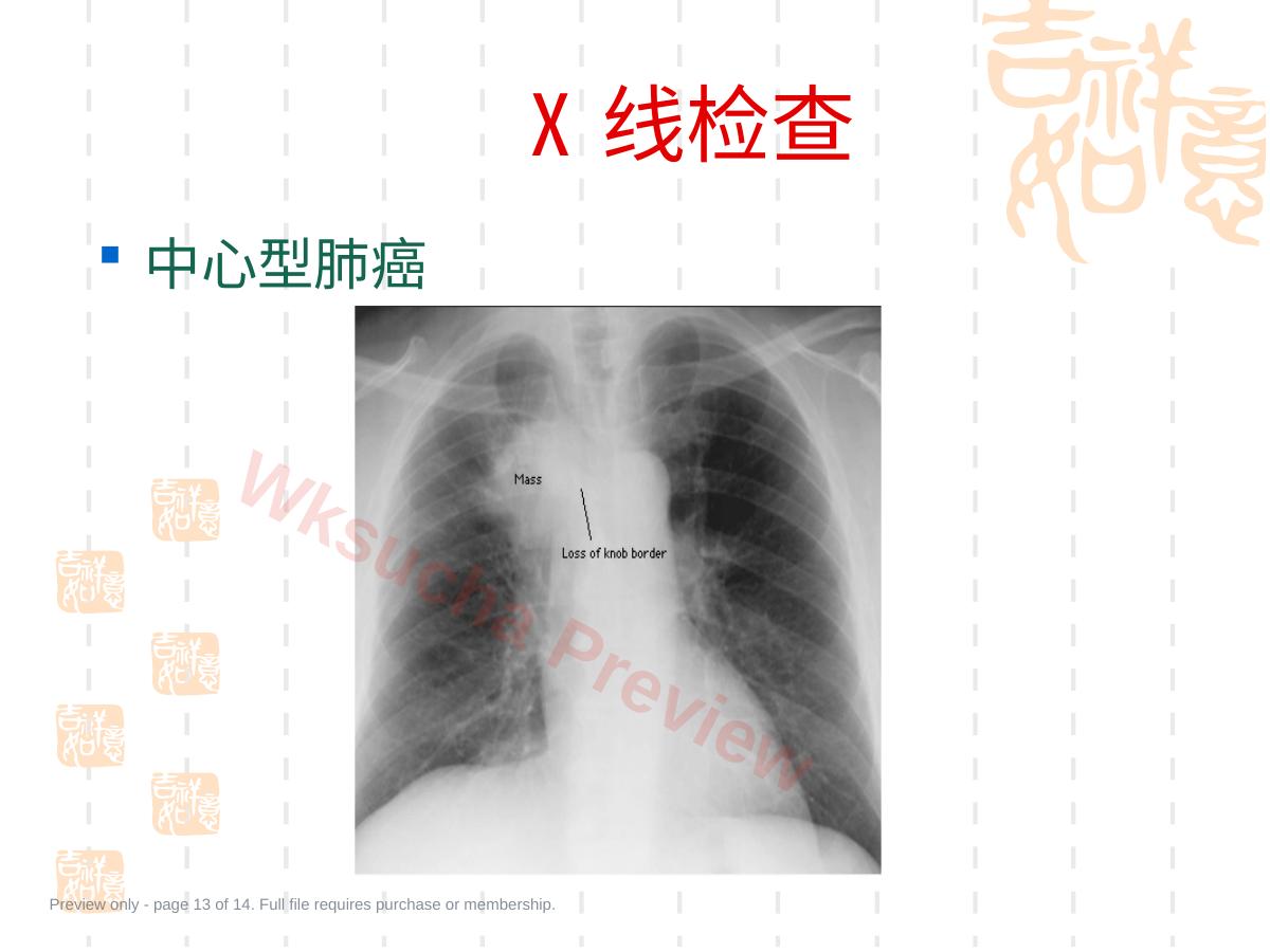 预览第 13 页
