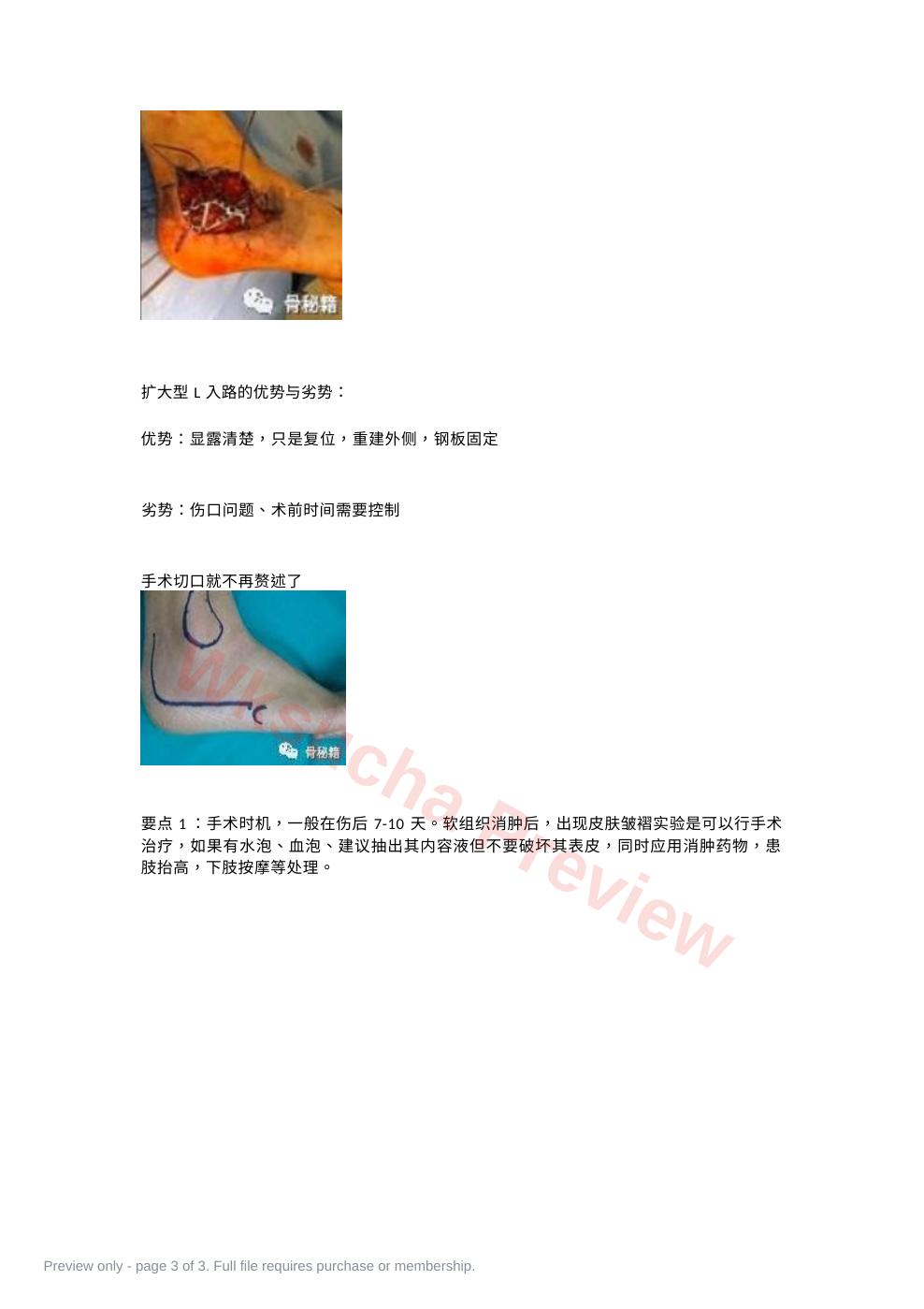 预览第 3 页