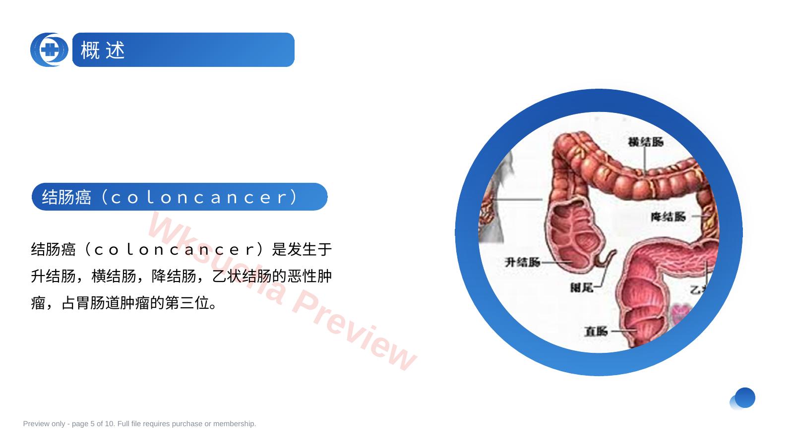 预览第 5 页