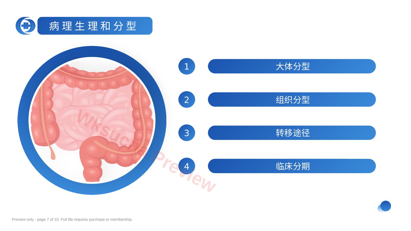 预览第 7 页