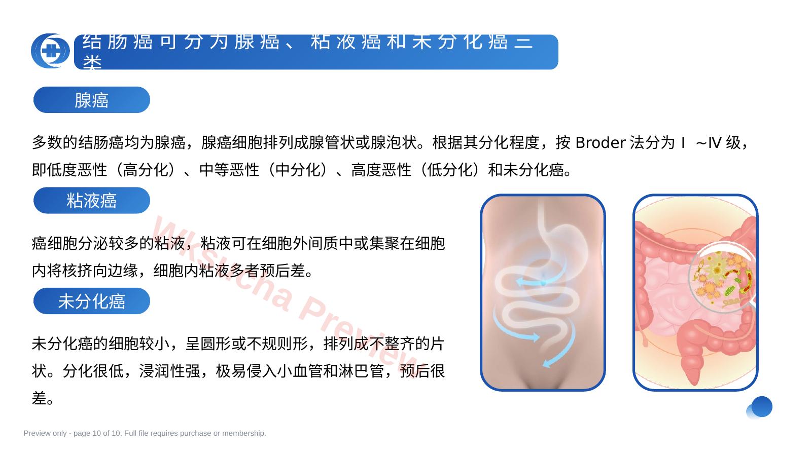 预览第 10 页