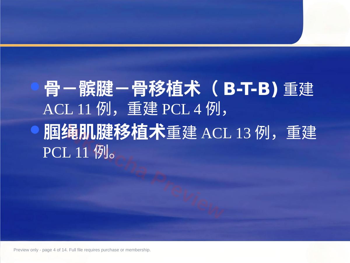 预览第 4 页