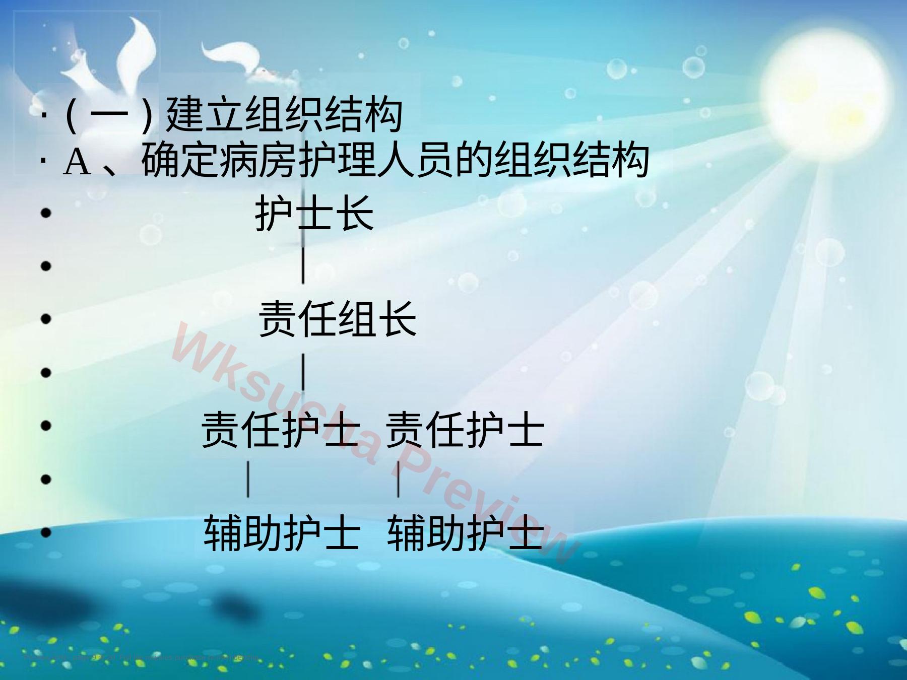 预览第 9 页