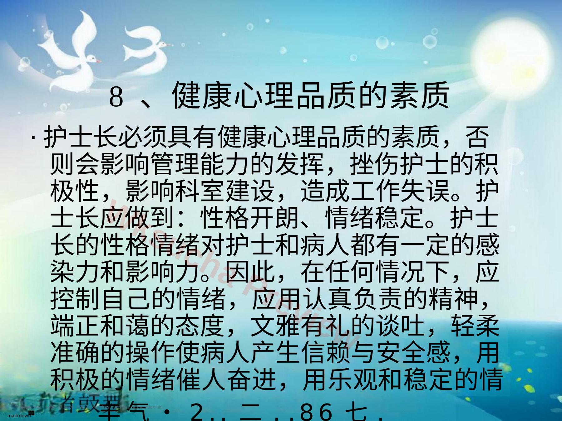 预览第 13 页