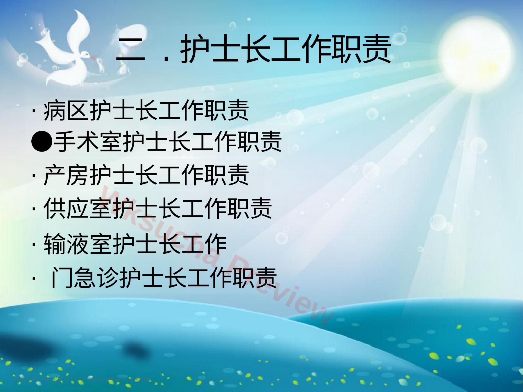 预览第 16 页