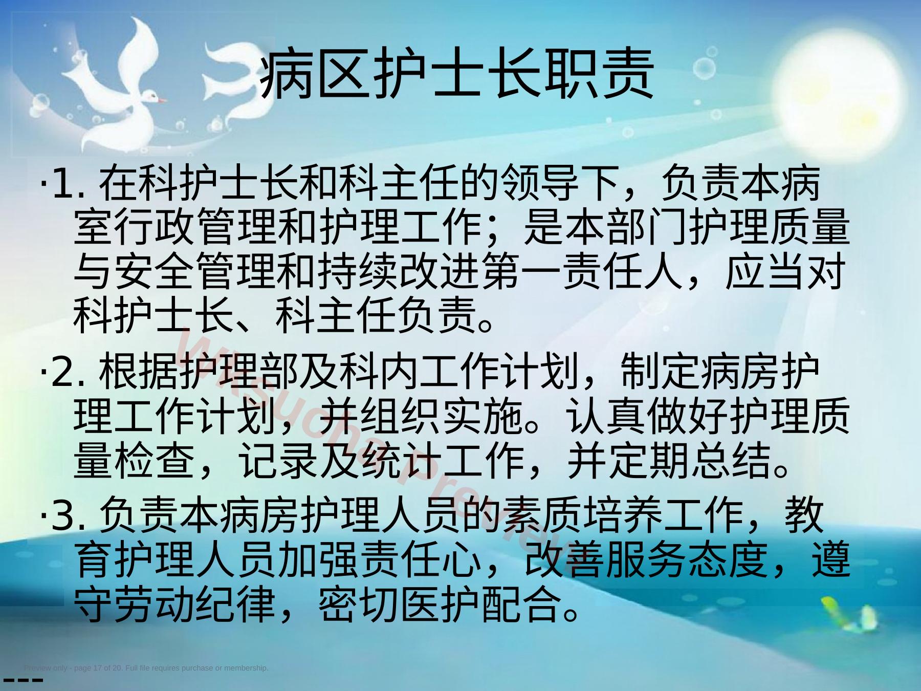 预览第 17 页