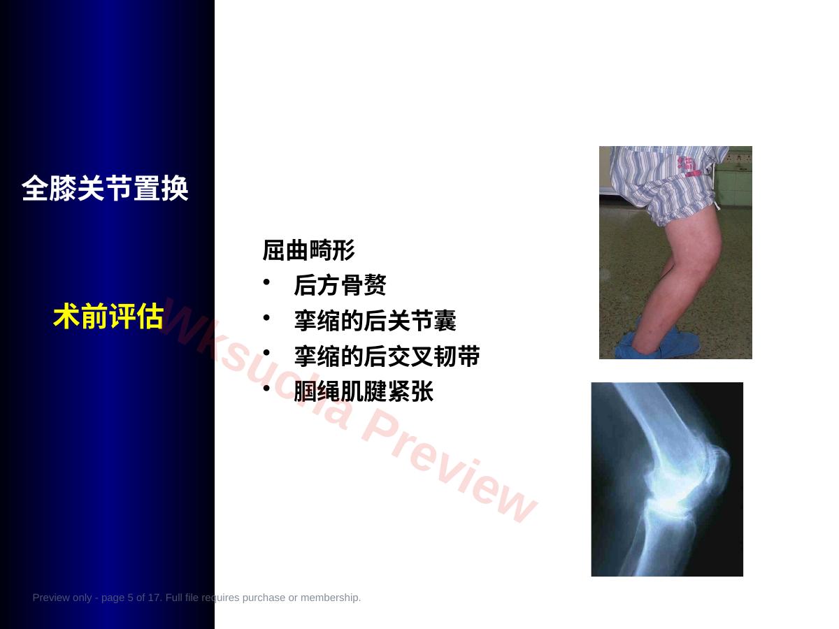 预览第 5 页
