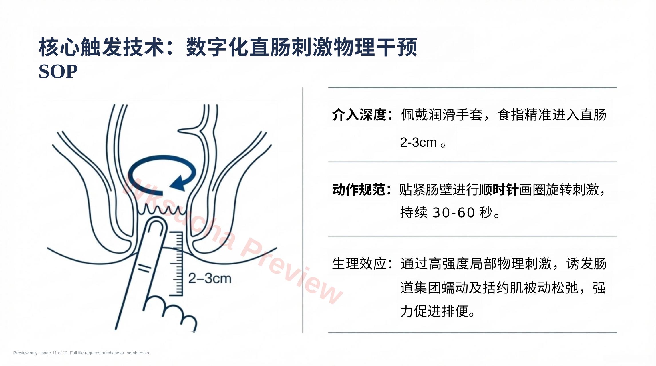 预览第 11 页