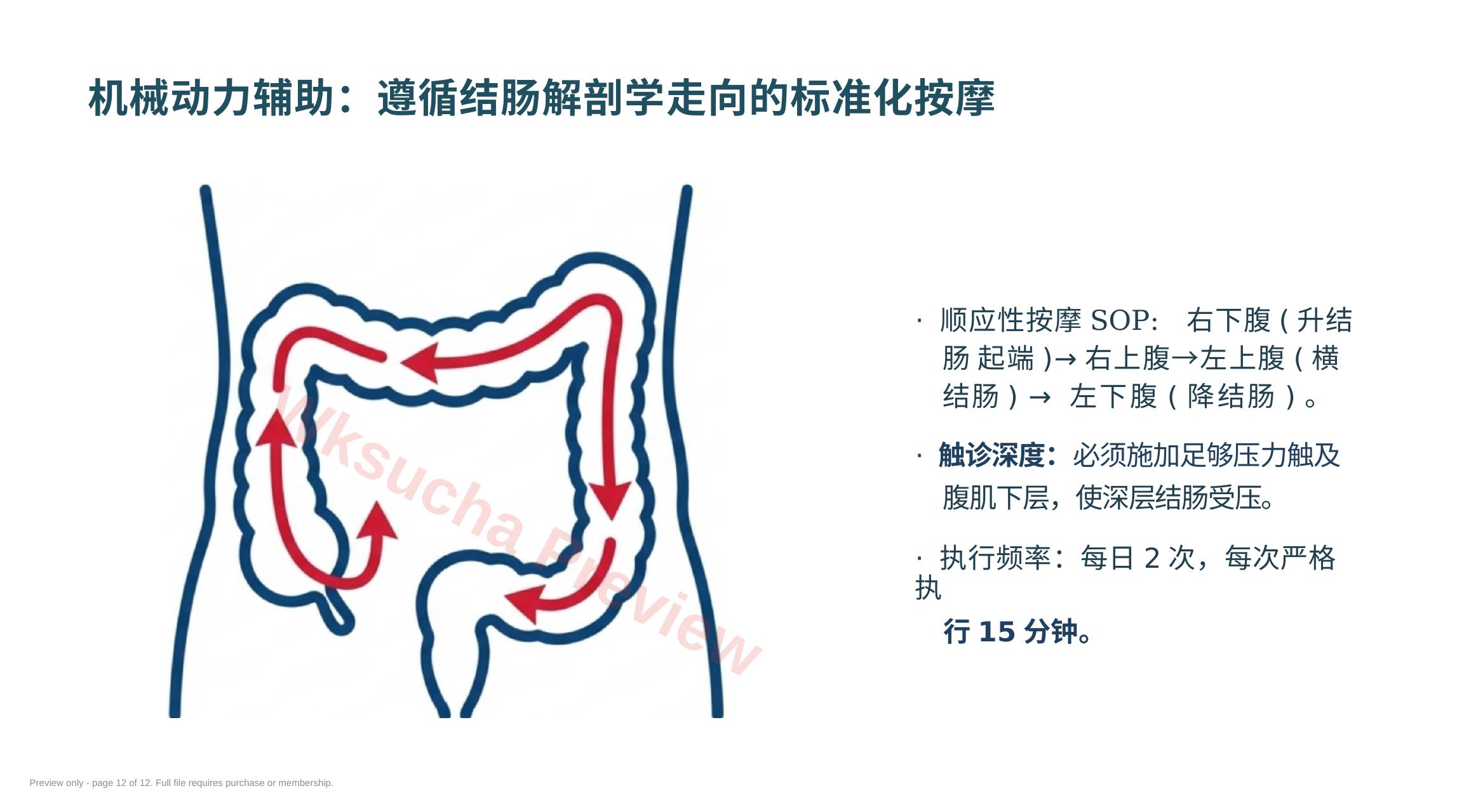 预览第 12 页
