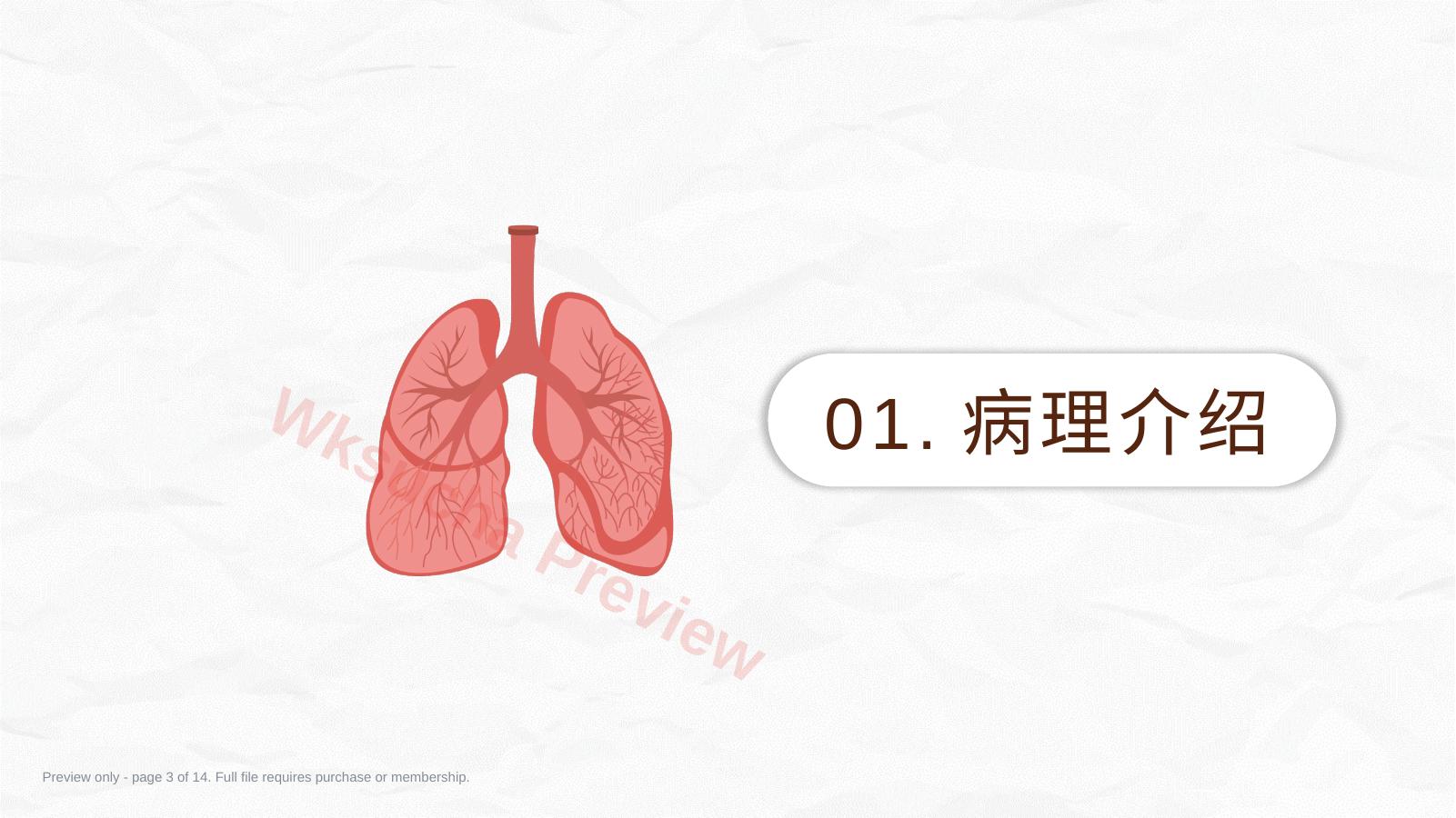 预览第 3 页