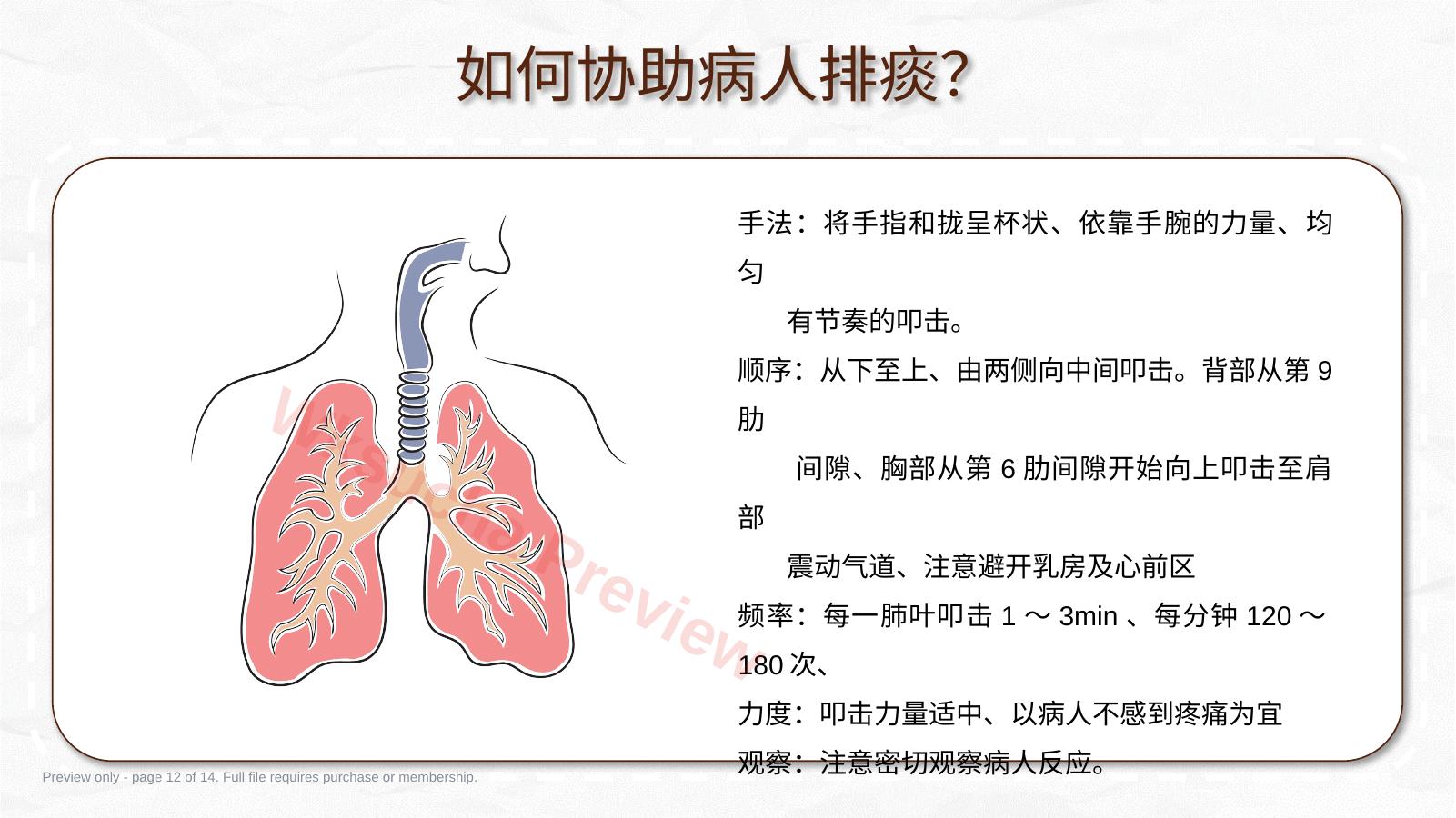 预览第 12 页