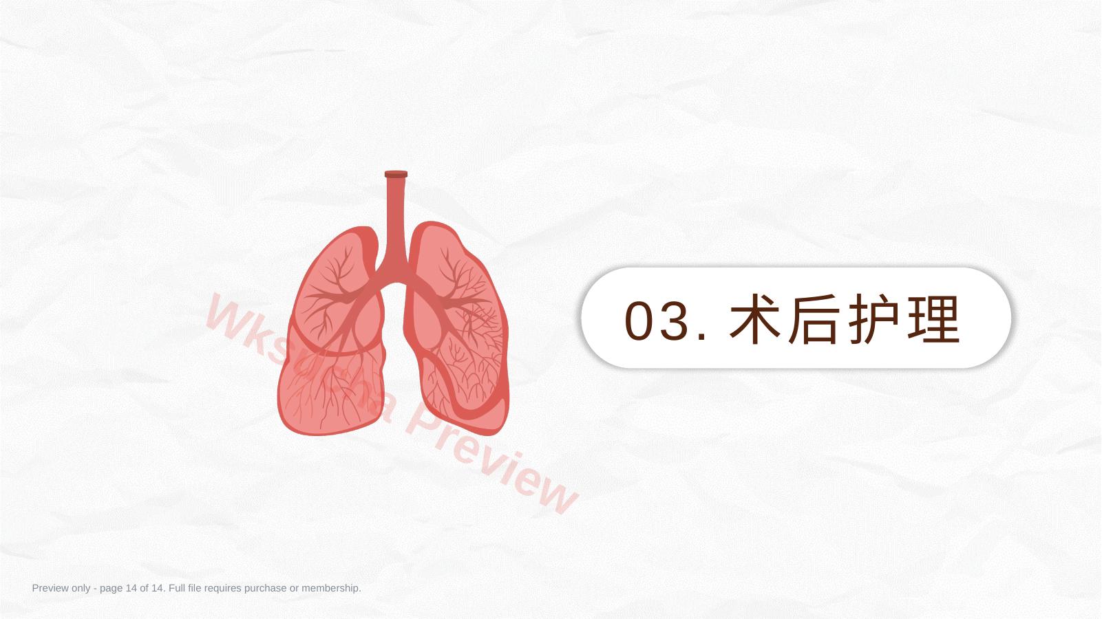 预览第 14 页