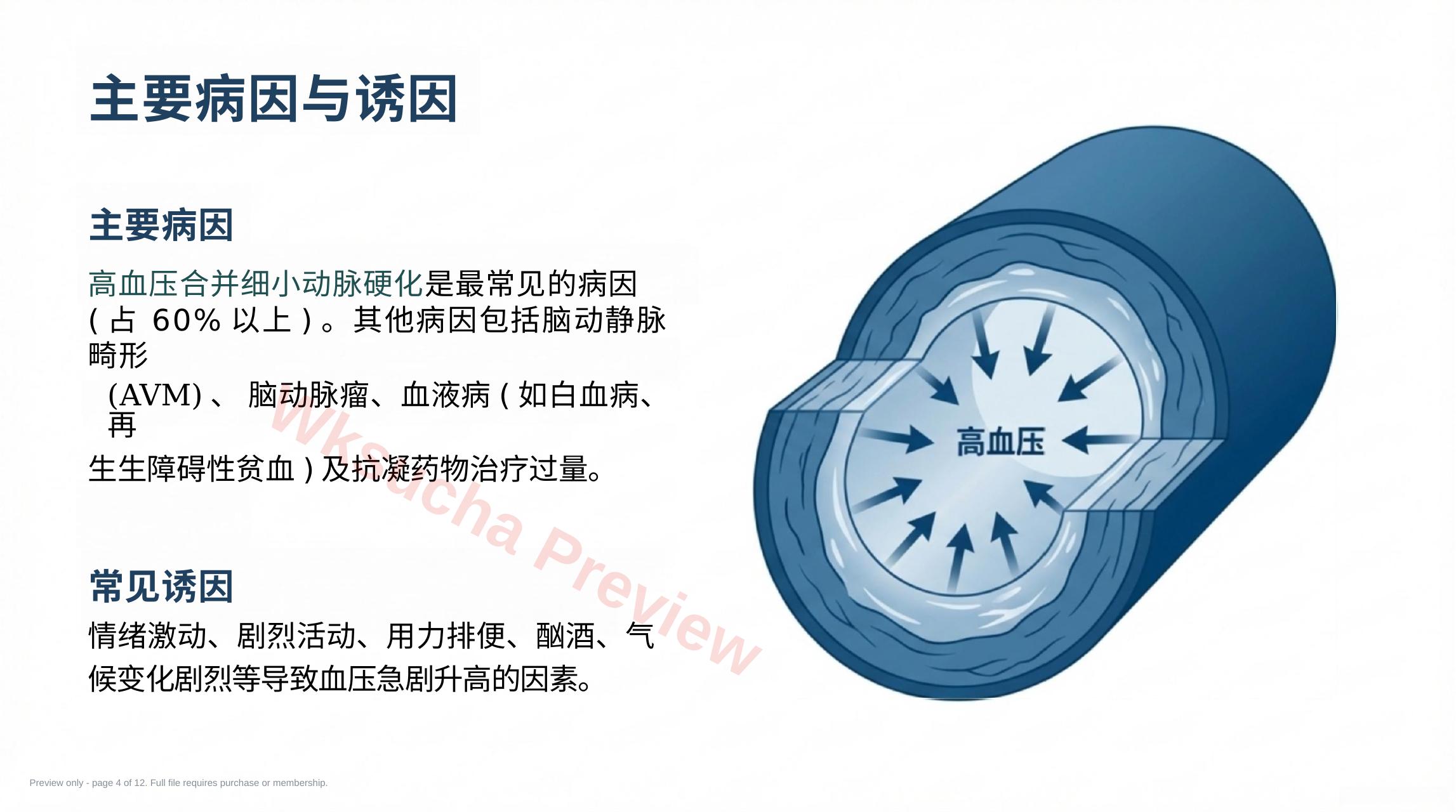 预览第 4 页